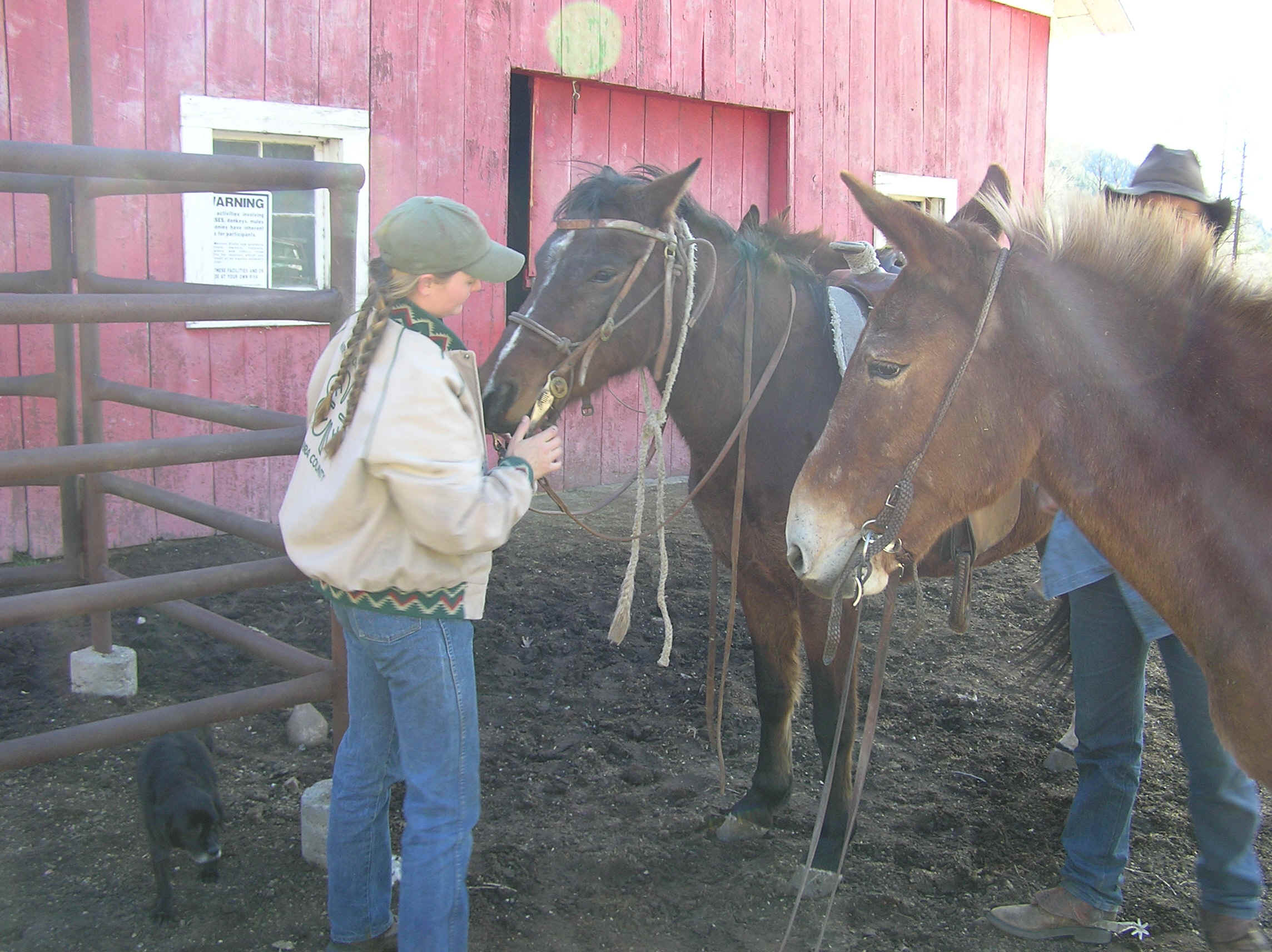 PA090054.JPG (850745 bytes)