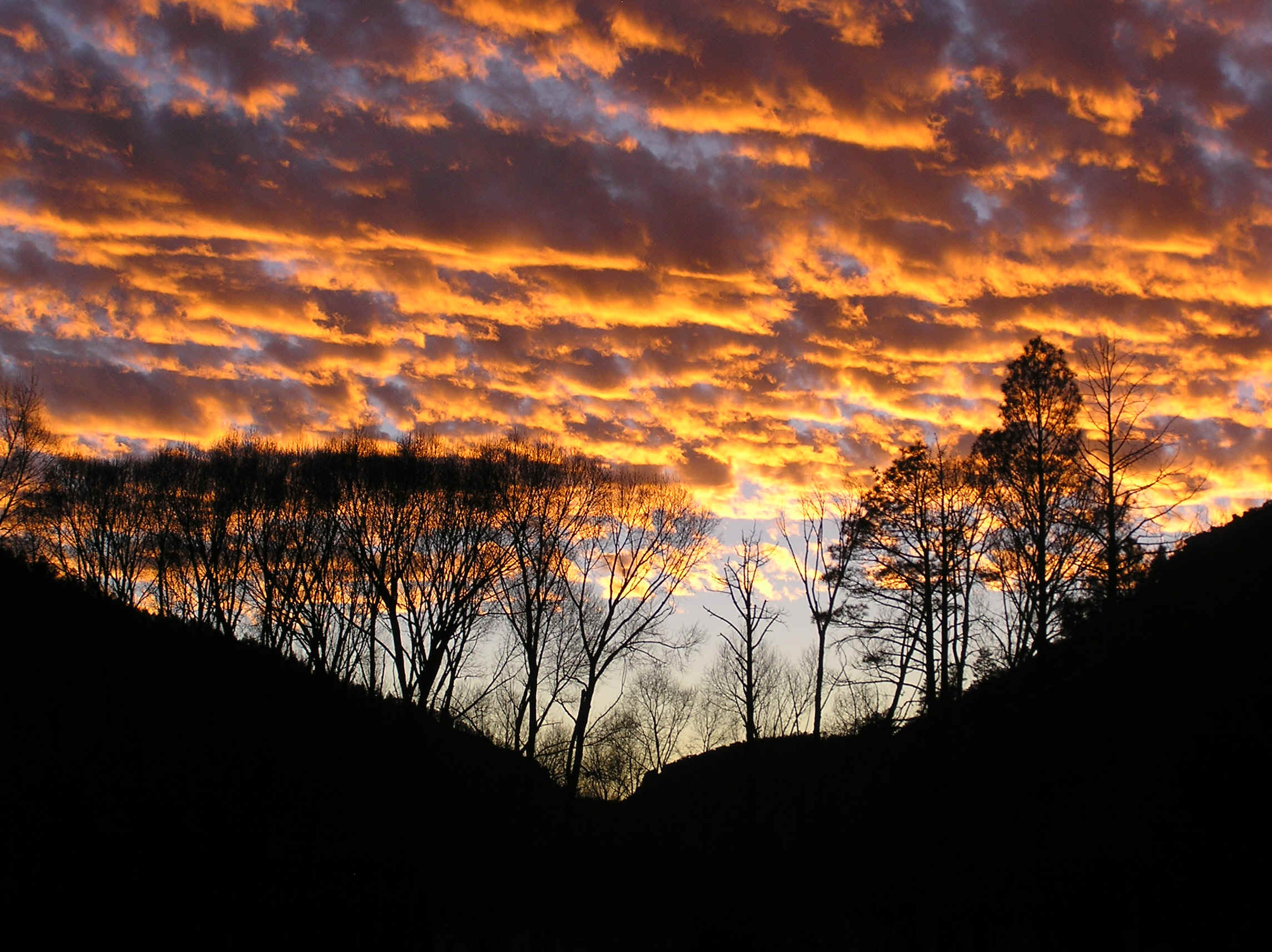 PA100134.JPG (819134 bytes)